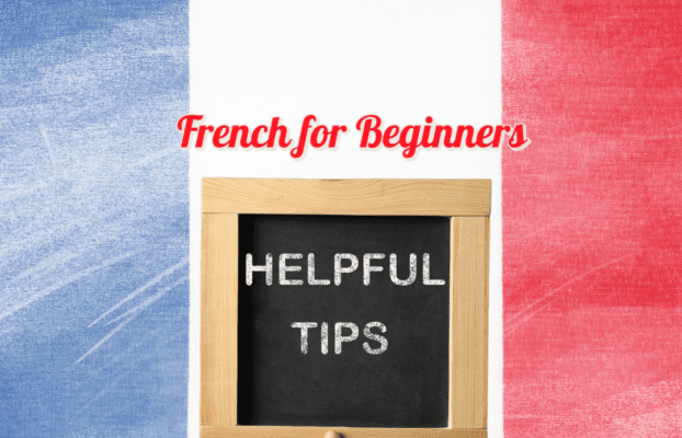 French for Beginners: Tips for Success